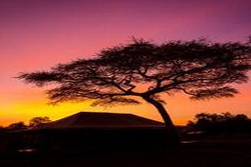 Kisura Serengeti Camp Soronera Dış mekan fotoğraf