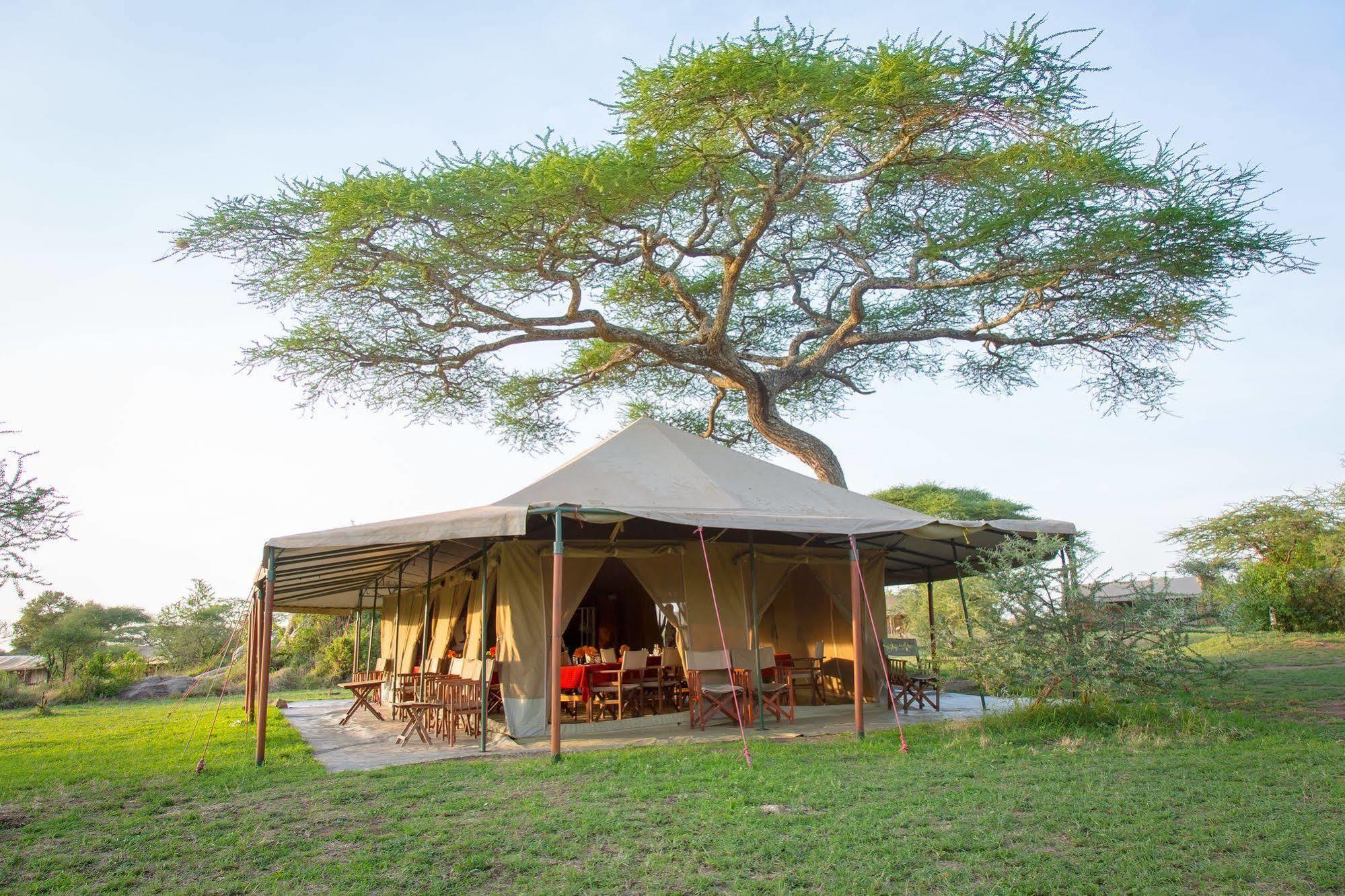 Kisura Serengeti Camp Otel Soronera Dış mekan fotoğraf