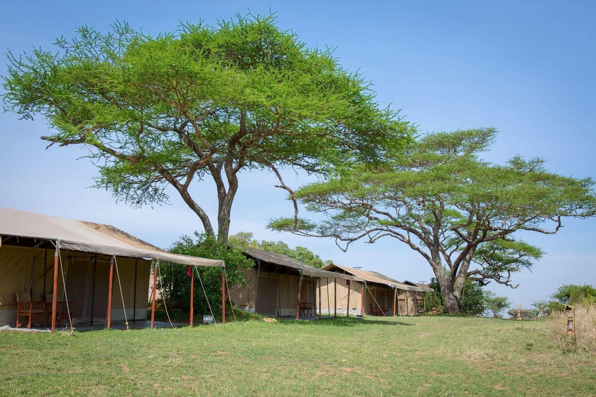 Kisura Serengeti Camp Otel Soronera Dış mekan fotoğraf